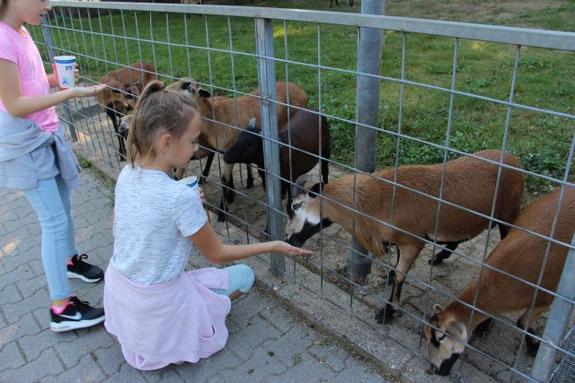 Tiere fuettern klein