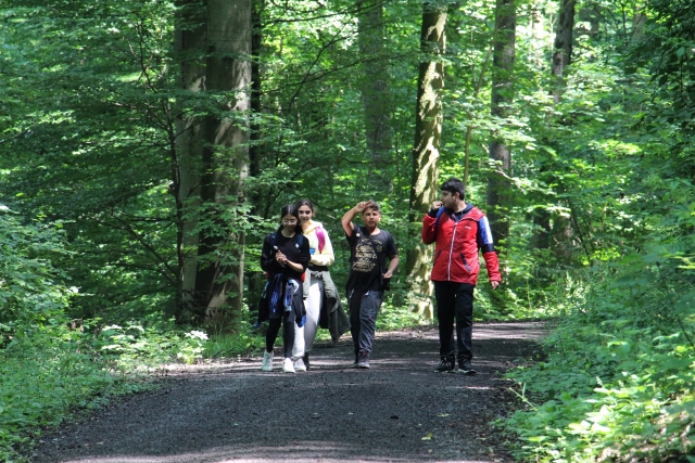 Im Wald klein