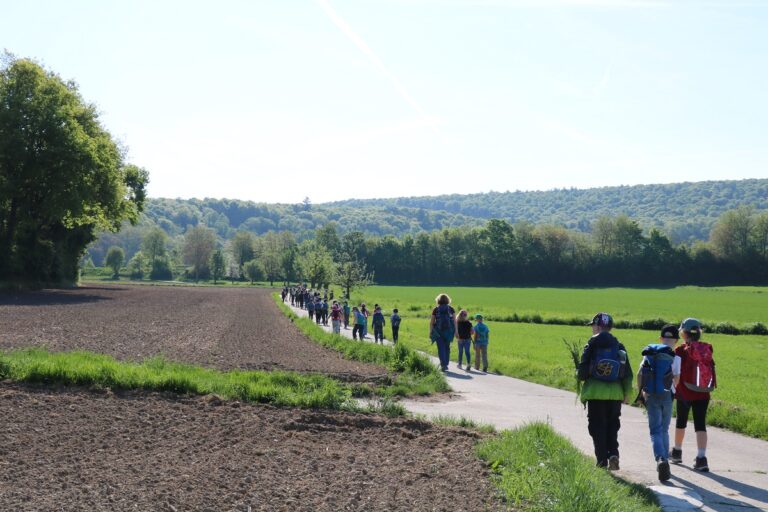 Mehr über den Artikel erfahren Wandertag